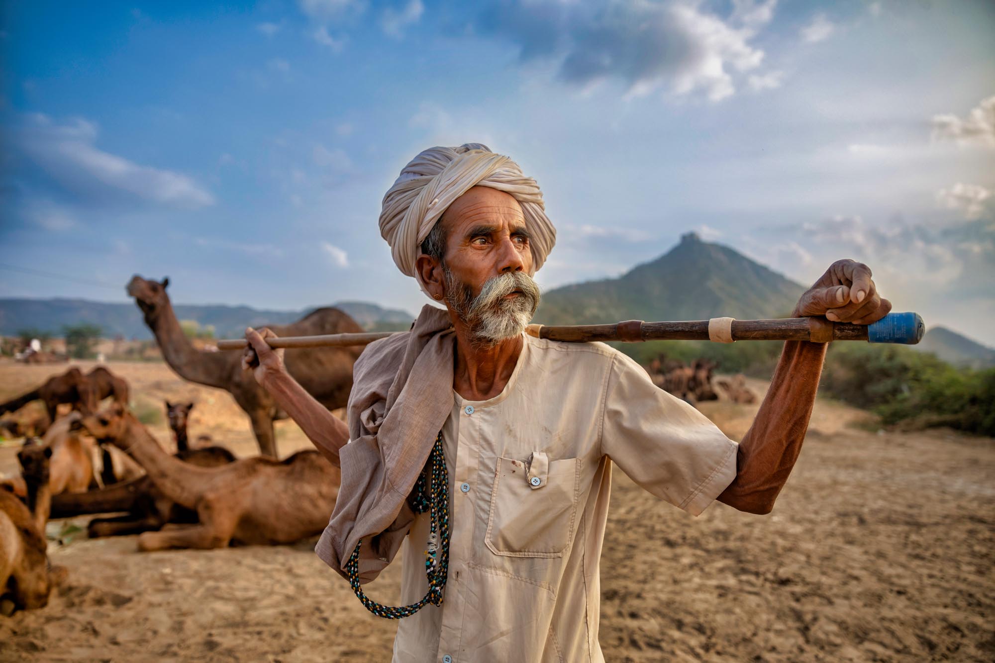 Pushkar Camel Festival